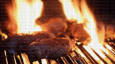Grill - Free animated GIF