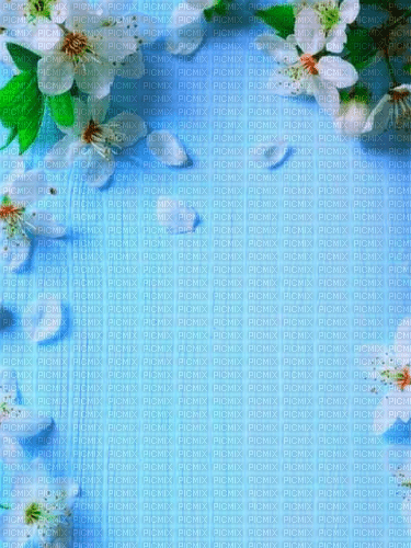 Blue Wallpaper - By StormGalaxy05 - png gratuito