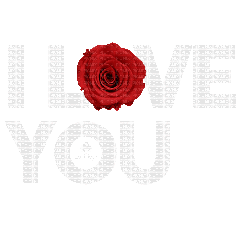 I Love You.Red rose.Text.Victoriabea - 免费动画 GIF