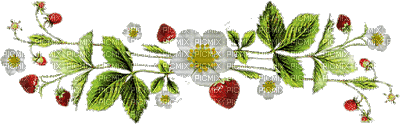 Barre séparateur fraises - GIF animé gratuit
