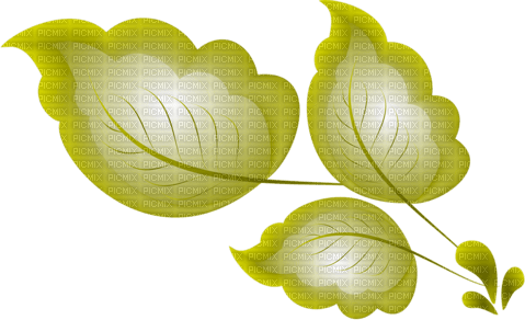 Blätter - фрее пнг