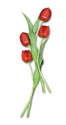 tulipe.Cheyenne63 - δωρεάν png