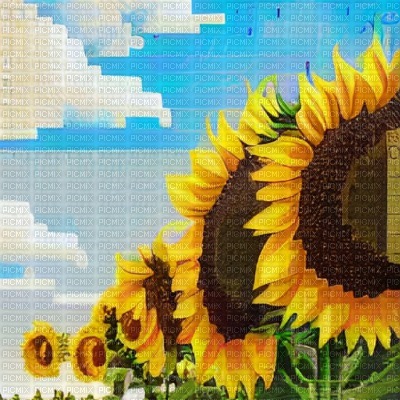 Sunflowers Glitchy Background - png ฟรี