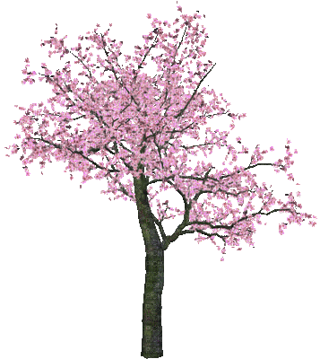 pink arbre printemps gif tree spring - GIF animé gratuit