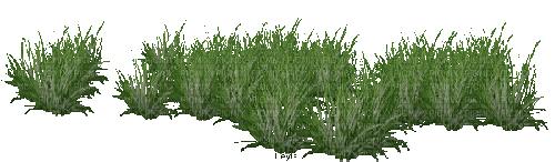grass - GIF animate gratis