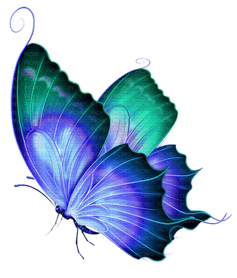 beautiful butterfly - gratis png