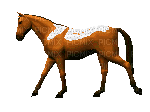 cheval HD - Animovaný GIF zadarmo