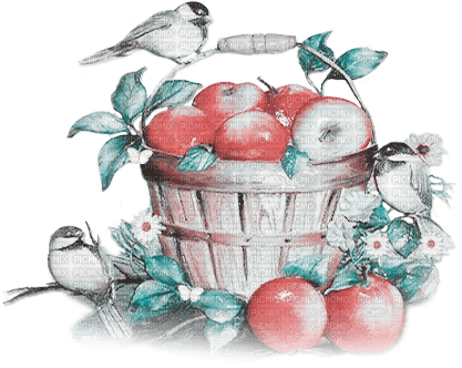 soave deco fruit apple basket bird flowers vintage - ücretsiz png