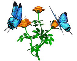 butterflies katrin - Nemokamas animacinis gif