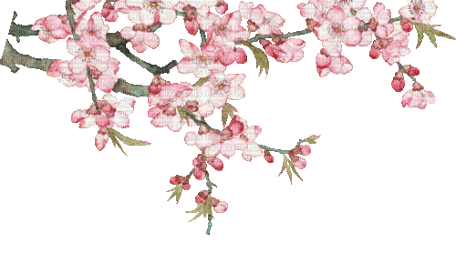 Y.A.M._Spring Flowers Decor - GIF animé gratuit