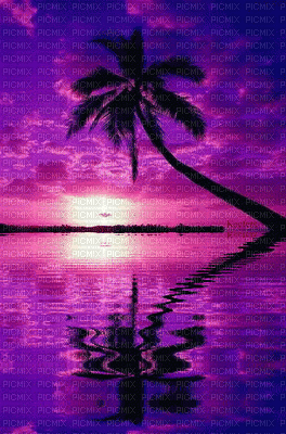 PURPLE OCEAN SUNSET - Bezmaksas animēts GIF