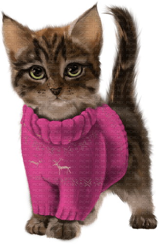 Chat Chandail Laine Rose:) - png gratuito