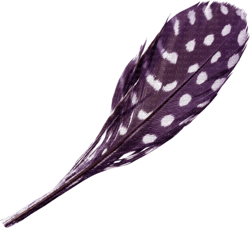Kaz_Creations Purple-Deco-Feather - Free PNG