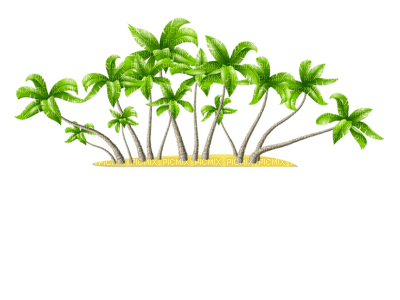 palm trees bp - 免费PNG
