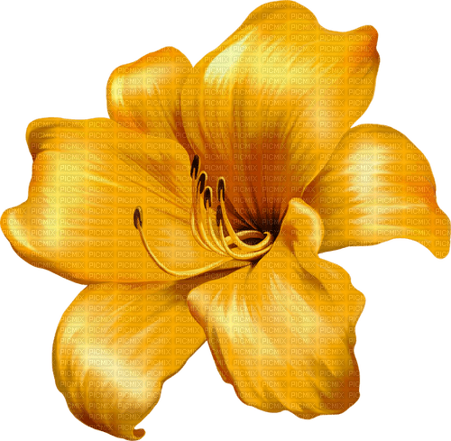 lily by nataliplus - PNG gratuit