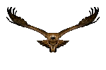birds eagle1 NitsaPap - 無料のアニメーション GIF