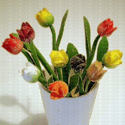 tulipes - GIF animate gratis