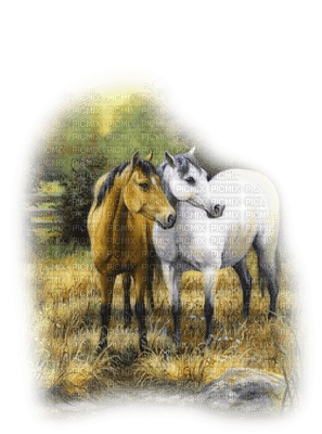 Kaz_Creations Animals Horses Horse Paysage Scenery - zdarma png