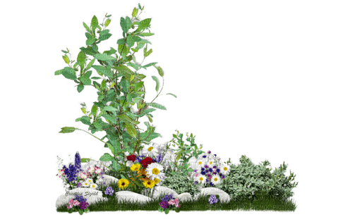 flower,grass,tree,rock - δωρεάν png