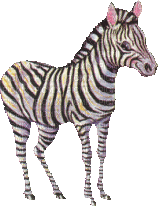 zebres - Gratis geanimeerde GIF