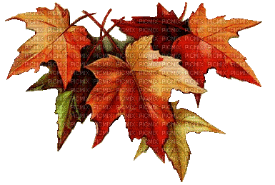 őszi levél - Gratis geanimeerde GIF