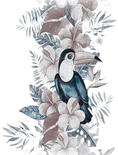 soave deco flowers bird  summer blue brown - 免费PNG
