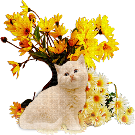 soave cat animals flowers vase deco yellow green - 免费PNG