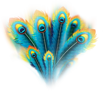 soave deco peacock feathers blue yellow - безплатен png