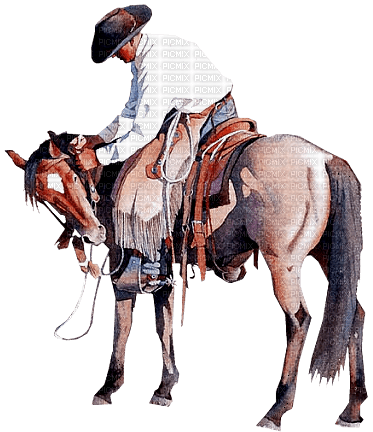 Horse, Adam64 - png grátis