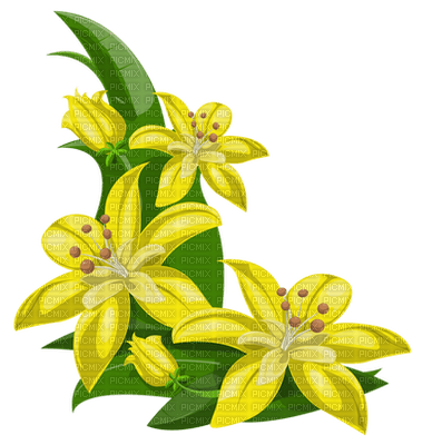 FLORES ADOLGIAN - 免费PNG