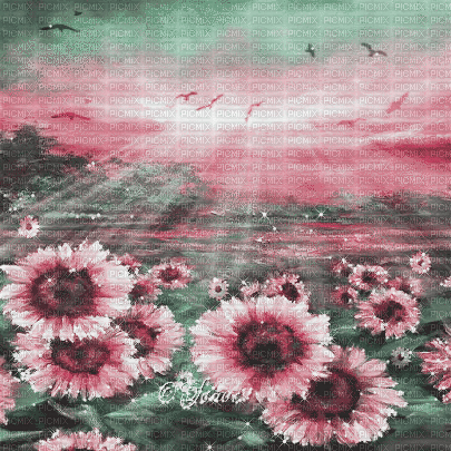 soave background animated flowers field sunflowers - Darmowy animowany GIF