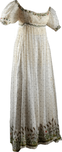 Kleid Dress - ilmainen png
