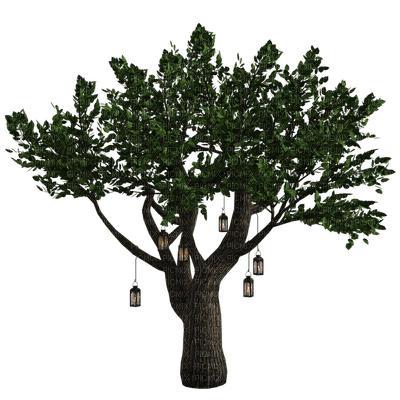 fantasy tree bp - kostenlos png