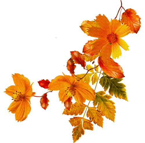 Leaves.Flowers.Orange.Yellow.Green.Red - PNG gratuit