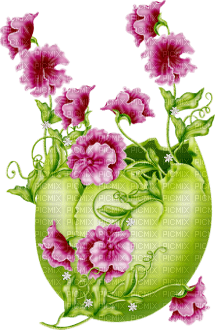soave text fishing green pink - 免费PNG