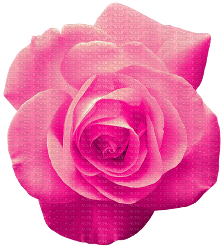 Rose.Pink - gratis png