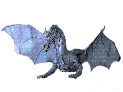 dragon nataliplus - gratis png