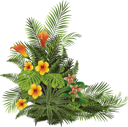 fleurs tropicales jungle - PNG gratuit