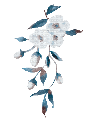 soave deco animated branch spring flowers - Gratis geanimeerde GIF