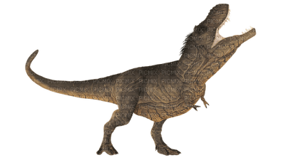 dinosaur, dinosaurus - ilmainen png