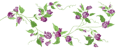 rose violette.Cheyenne63 - Free PNG