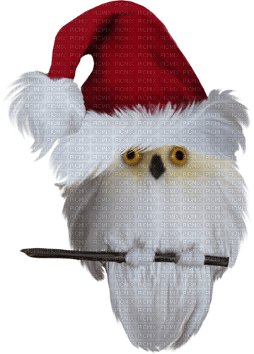 funny winter owl - gratis png