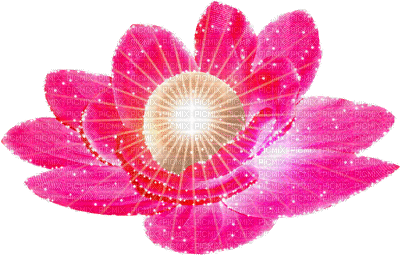 Y.A.M._Summer Flowers Decor - Besplatni animirani GIF