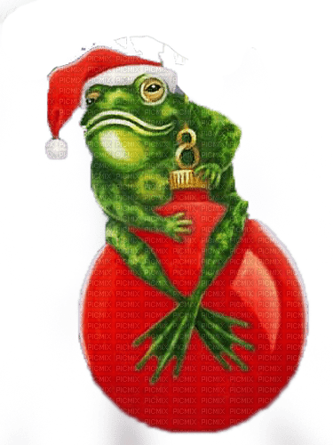 funny santa frog - zdarma png