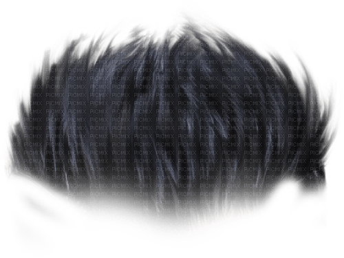cheveux homme - Free PNG