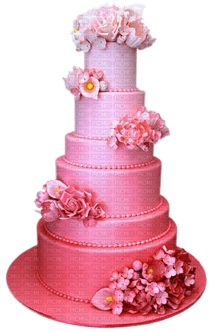 Birthday cake - kostenlos png