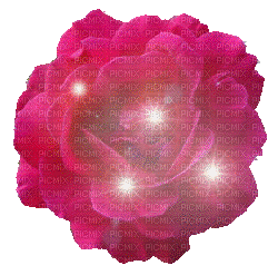 fleur(rouge)  HD - Бесплатный анимированный гифка