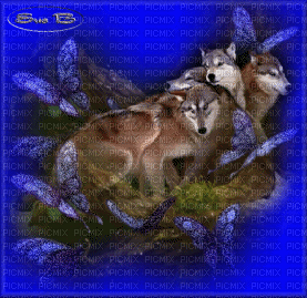 loups - Darmowy animowany GIF