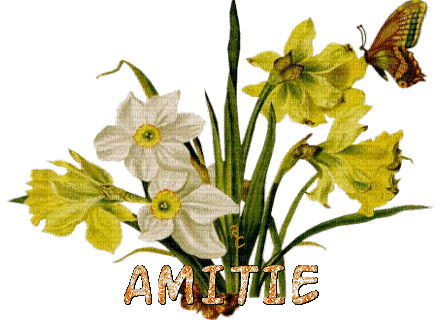 Amitié - Бесплатный анимированный гифка