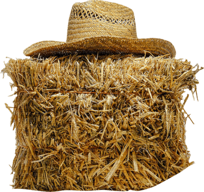 Farm.Hat.Chapeau.Ferme.Cowboy.Victoriabea - png ฟรี